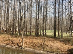 -黄海国家森林公园