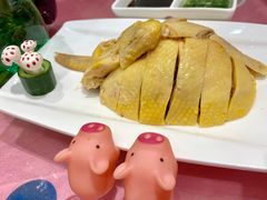 白斩鸡-金时代顺风大酒店(协泰店)