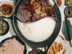 -新辣道鱼火锅(上地华联店)