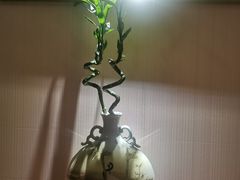 -苏州东山雕花楼宾馆