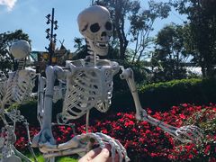 -七彩云南欢乐世界