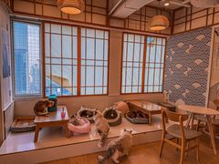 -Let's go狗咖·猫咖·奶狗·桌游(春熙路IFS店)