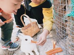 -西部长青自然儿童乐园