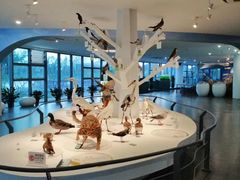 -漩门湾国家湿地公园