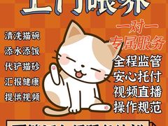 -高·尚领域