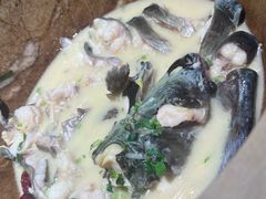 -老福耶小草帽石锅鱼(奥体店)
