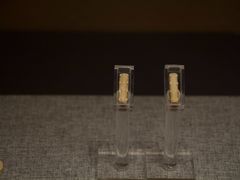 -鸿山遗址博物馆