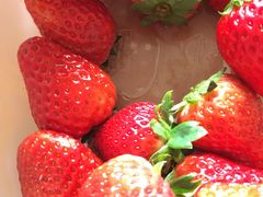 -百果园(愉景南苑店)