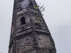 -上海佘山国家森林公园天马山园