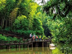 -宝岩生态观光园