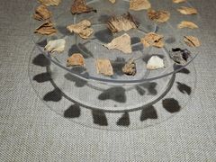 -巴音郭楞蒙古自治州博物馆