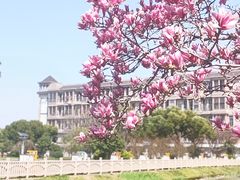 -泗泾镇社区文化活动中心