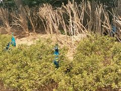 -无锡动物园·太湖欢乐园