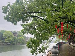 -溪口-滕头旅游景区