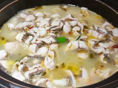 -周渝食惦酸菜鱼(青浦店)