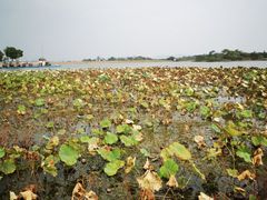 -云水涧亲子度假酒店