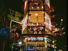 -Rainforest
