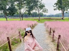 -汉长安城未央宫国家考古遗址公园