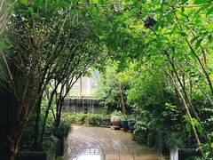 -野蔓果·山野菜(西湖景区·龙井茶田店)