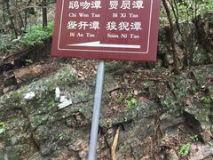 -九龙潭景区