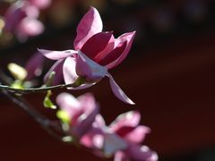 -齐白石旧居纪念馆