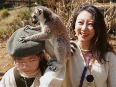 -世界恐龙谷景区