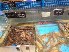 -加餐海鲜自助(宝龙一城店)