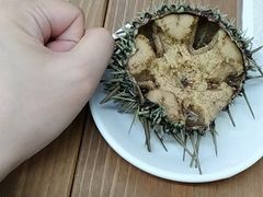 -海胆小馆(东北水饺·春柳店)