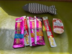 -北京派仕佳德动物医院·超导核磁·CT·神经科·骨科·内外科·急重症管理中心