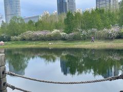 -群力丁香公园