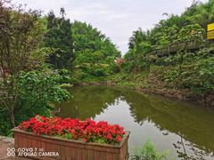 -沐川竹海旅游景区