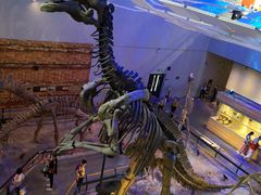 -7天酒店(广州动物园黄花岗地铁站店)