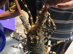 -班赞海鲜市场