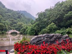 -黔灵山公园