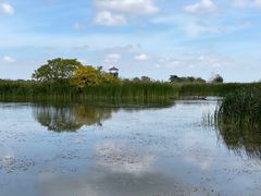 -盐城丹顶鹤湿地生态旅游区