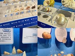 -温州博物馆