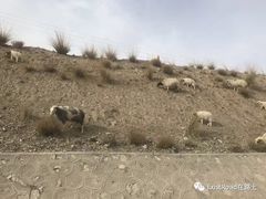 -敦煌雅丹国家地质公园