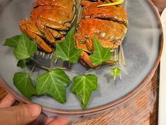 -映水芙蓉(上海万象城店)