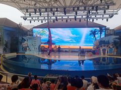 -三亚海昌梦幻海洋不夜城