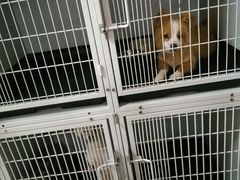 -惠康宠物医院(华能路店)