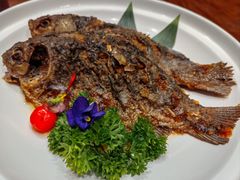 -唐山宴百姓府邸院落中餐