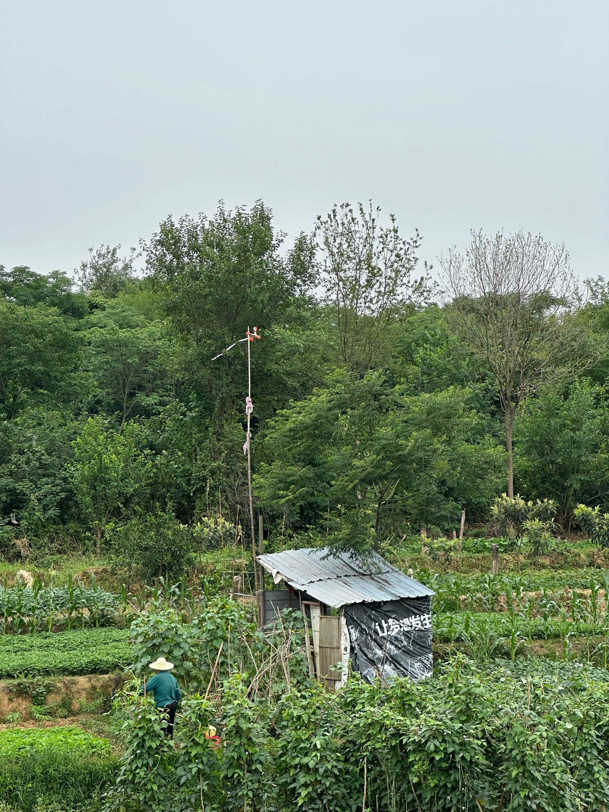普通人也可以有梦想小木屋