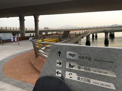 -演武大桥观景平台