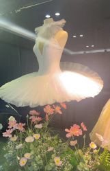 -艾薇芭蕾艺术中心