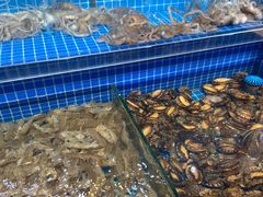 -乔哥铭洋海鲜自助(皇城恒隆广场店)