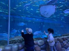 -华夏文旅海洋公园