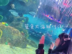 -沙沙哗啦海洋馆(华宇百花谷店)