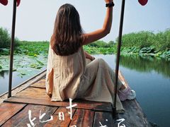 -白洋淀景区