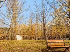 -四川大学(望江校区)