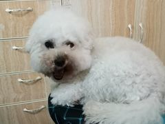 -仁华宠物医院(青羊店)